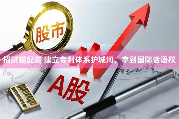 招财猫配资 建立专利体系护城河，拿到国际话语权
