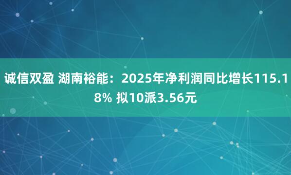 诚信双盈 湖南裕能：2025年净利润同比增长115.18% 拟10派3.56元